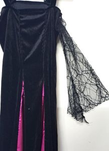Kids Costumes to Hire - Black Velvet dress- pink detail & webbed lace sleeves - GIRL